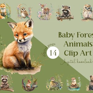 Woodland Animals PNG, Clip art, Baby, Birthday, Nursery, Fox, Owl, Deer, Bear, Forest, Transparent, Baby Shower, PNG File, Digital Download