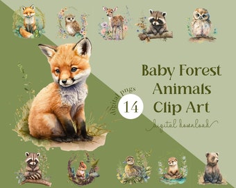 Woodland Animals PNG Clipart, Watercolor Forest Nursery (Digital Download)