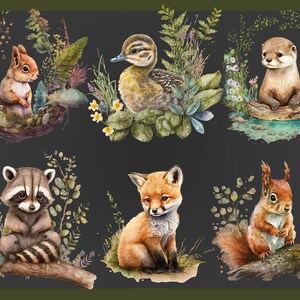 Woodland Animals PNG, Clip Art, Baby, Birthday, Nursery, Fox, Owl, Deer