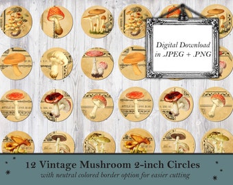 Vintage Mushroom Circles, PNG, junk journal, vintage ephemera, Mushroom Clip Art, Printable Botanical Stickers, Decal Image, Digital Stamp