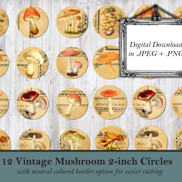 Vintage Mushroom Circles, PNG, junk journal, vintage ephemera, Mushroom Clip Art, Printable Botanical Stickers, Decal Image, Digital Stamp