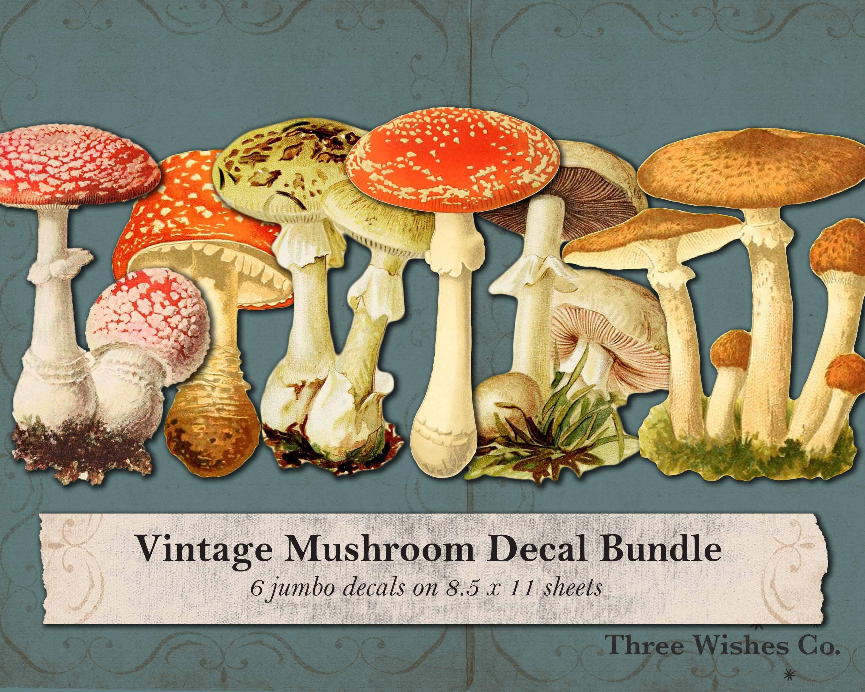 Vintage Mushroom Decal Bundle PNG Printable Ephemera Etsy