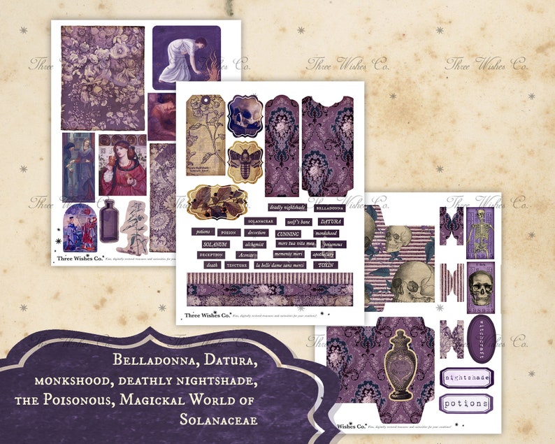 Op de afbeelding: Een digitale collage van afbeeldingen met paarse bloemen, een vrouw in een witte jurk, een schedel, een skelet en een fles. De tekst "BellaDonna, Datura, Monkshood, Deathly Nightshade, The Poisonous, Magickal World of Solanaceae" staat onderaan de afbeelding.