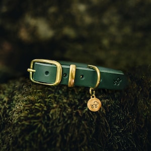 May include: A dark green leather dog collar with a brass buckle and a small brass tag with a paw print. The collar is lying on a bed of moss.