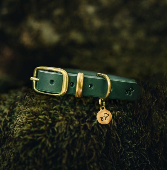 Forest Green - Leather Dog Collar with Solid Brass Hardware