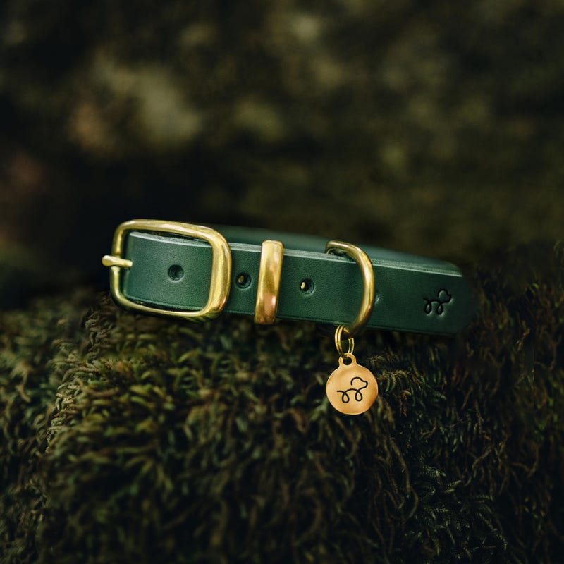 Brass Dog Collar - Etsy