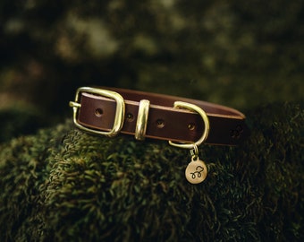 Conker Brown - Leather Dog Collar with Solid Brass Hardware