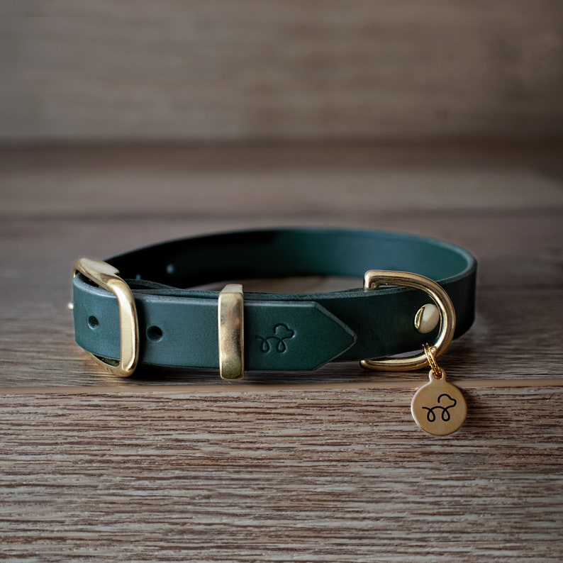 Forest Green Leather dog collar with solid brass hardware Etsy