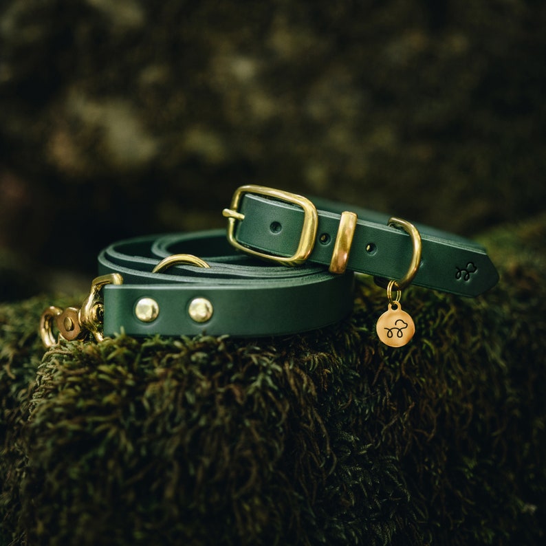 May include: A green leather dog collar and leash set with brass hardware. The collar has a brass buckle and the leash has a brass clip. The set comes with a small brass tag with a paw print.