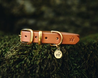 Mustard Yellow - Leather Dog Collar with Solid Brass Hardware