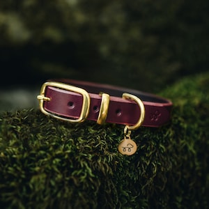 Beetroot burgundy - Leather Dog Collar with Solid Brass Hardware