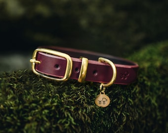 Beetroot burgundy - Leather Dog Collar with Solid Brass Hardware