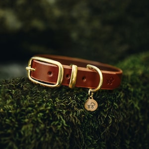 Acorn Brown - Leather Dog Collar with Solid Brass Hardware