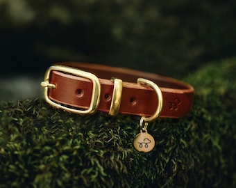 Acorn Brown - Leather Dog Collar with Solid Brass Hardware