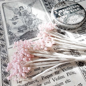 Delicati plettri di perle rosa, decorazioni per matrimoni e battesimi, accessori per capelli, etichette regalo, biglietti d'invito, scrapbooking, regali per gli ospiti