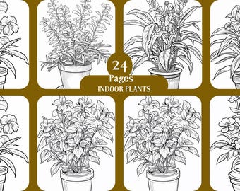 May include: A collection of 24 pages of black and white line drawings of indoor plants. The drawings are simple and detailed, and they would be perfect for coloring or for use in a craft project.