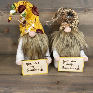 You are my Sunshine gnome