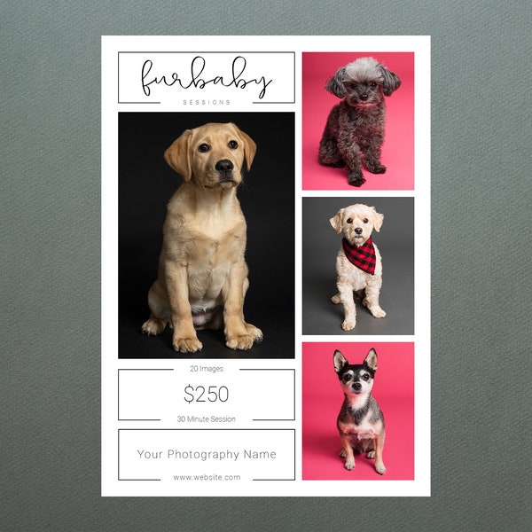 Pet Session Template | Pet Mini Session Template | Pet Marketing Template | Photography Template | Pet Template | Pet Sessions | Pet Minis