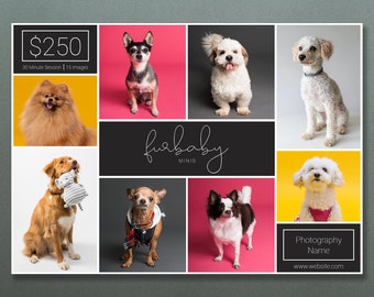 Pet Session Template | Pet Mini Session Template | Pet Marketing Template | Photography Template | Pet Template | Pet Sessions | Pet Minis