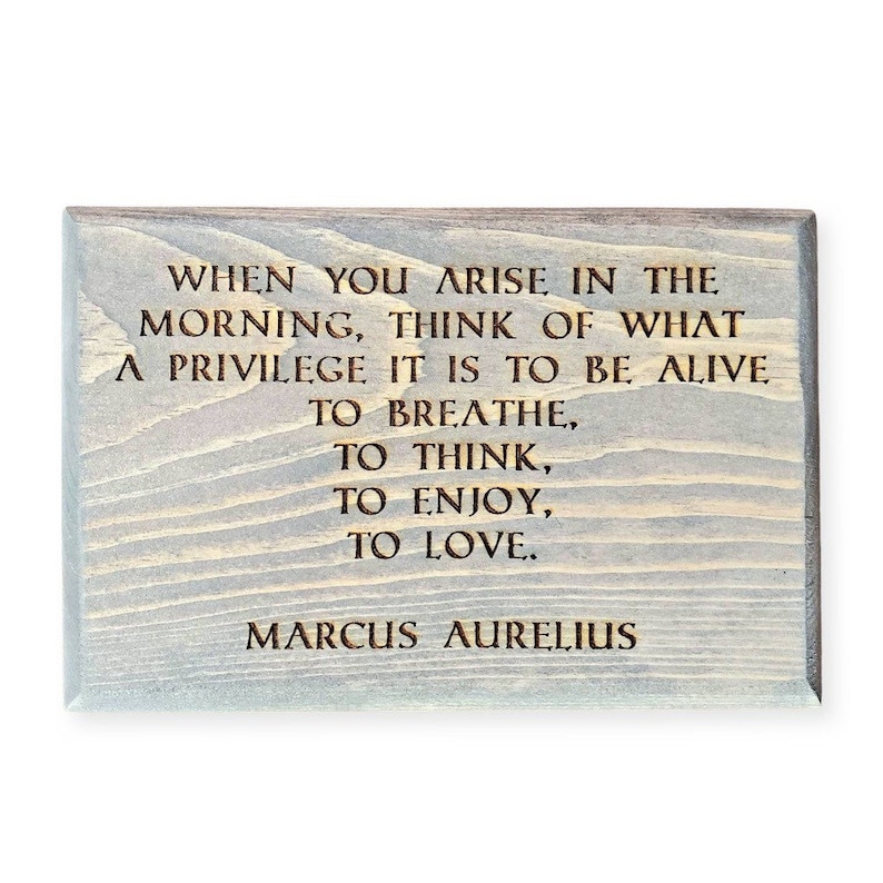 Puede incluir: Un letrero de madera con fondo gris y texto marr&oacute;n. El texto dice: "Cuando te levantas por la ma&ntilde;ana, piensa en qu&eacute; privilegio es estar vivo para respirar, pensar, disfrutar, amar. Marco Aurelio."