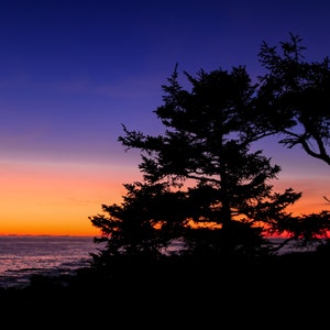 Tofino Sunset Stampabile Wall Art
