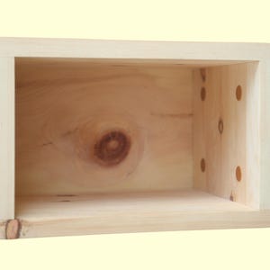 Op de afbeelding: Een rechthoekige, aan de voorzijde open houten doos gemaakt van lichtgekleurd grenenhout. Het achterpaneel aan de binnenzijde heeft een opvallende natuurlijke houtknoop, terwijl het rechterzijpaneel vier kleine, ronde, gelijkmatig verdeelde gaten bevat.