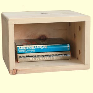 May include: A light-colored, wooden cube shelf with an open front, holding two books. The books have blue and tan covers. The shelf is made of unfinished wood and has rounded corners.