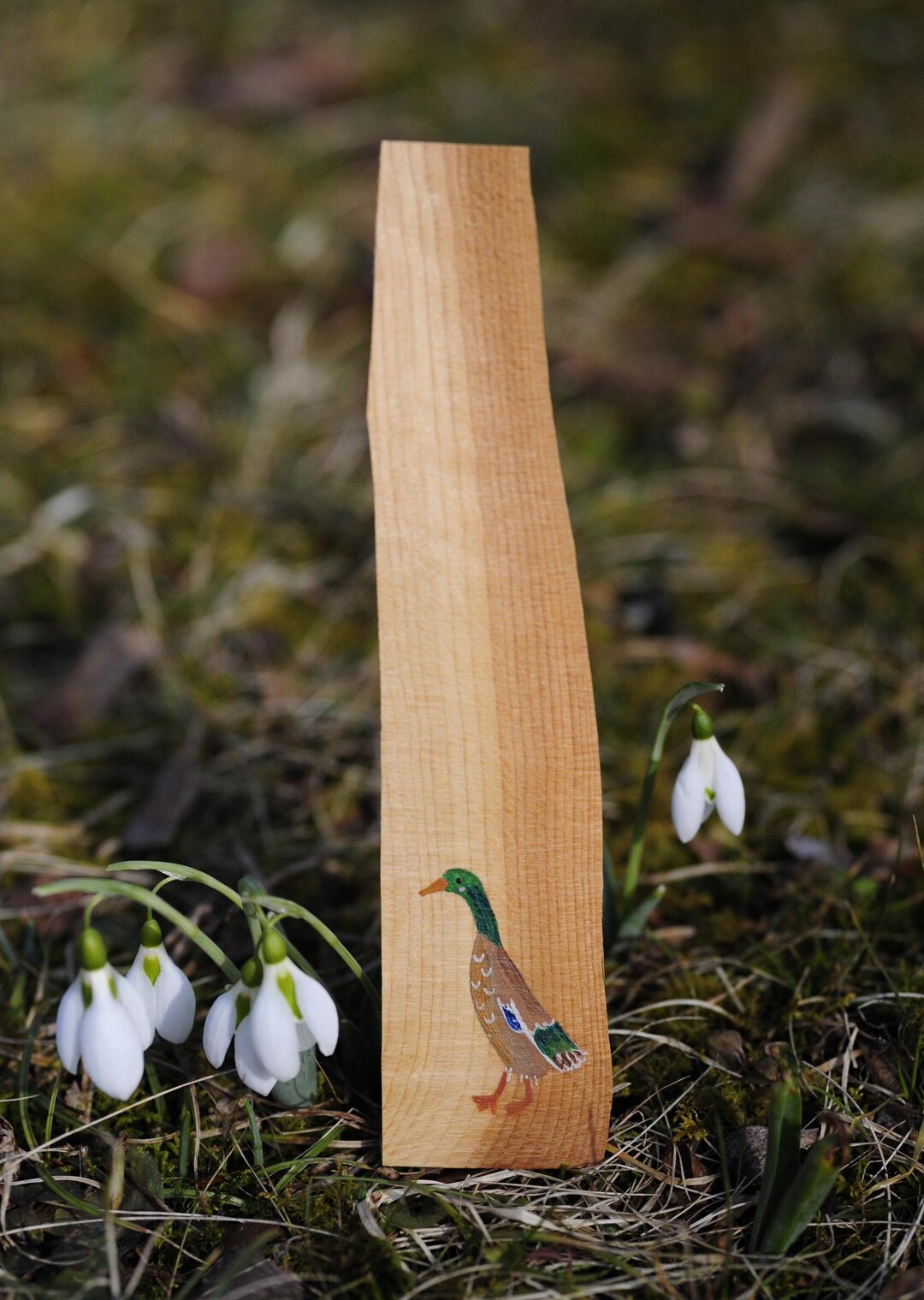 Wooden Bookmark | Runner Duck Drake | Duck | Bird | Nature | Hand ...