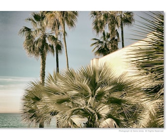 CALIFORNIA COASTAL PALMS 3 Fine Art Photograph,  Palm Trees, Pacific Ocean, Beach Culture, Boho Style, California Dreaming