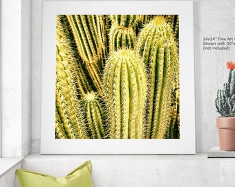 ORGAN PIPE CACTUS 1 Fine Art Photograph, Stenocereus Thurberi Yellow Greens, Cactus Needles, Graphic, Wall Décor, Botanical Art, Boho Décor