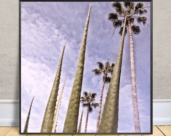 PALMS CACTUS SKY 1, Fine Art Photograph, Tall Palms, Cactus Columns, Graphic Modern Wall Décor, Botanical Art, Boho Décor