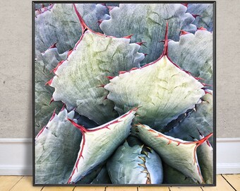 AGAVE in SAGE & RUST 2  Enhanced Fine Art Photograph,  Abstract , Modern Wall Décor, Botanical Art, Boho Décor