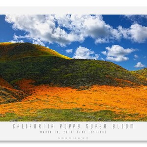 CALIFORNIA SUPER BLOOM #2.  California Poppies, Fine Art Photograph, Modern Wall Décor, Kitchen Décor, Bath Décor.