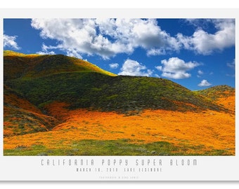 CALIFORNIA SUPER BLOOM #2.  California Poppies, Fine Art Photograph, Modern Wall Décor, Kitchen Décor, Bath Décor.