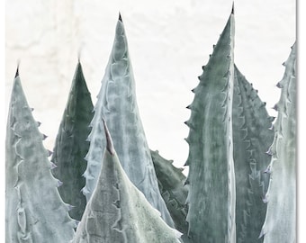 AGAVE AMERICANA ADOBE 1, Fine Art Photograph, Cactus Photography, Sage Tint, Abstract Graphic Modern Wall Décor, Botanical Art, Boho Décor