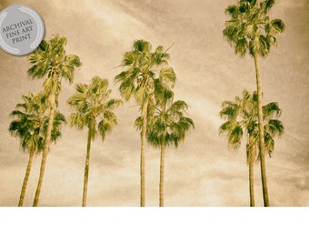 SEVEN PALMS 1 with Sky and Clouds, California Fan Palms, Fine Art Photograph from an Original Photograph, Boho Colors, California Sky