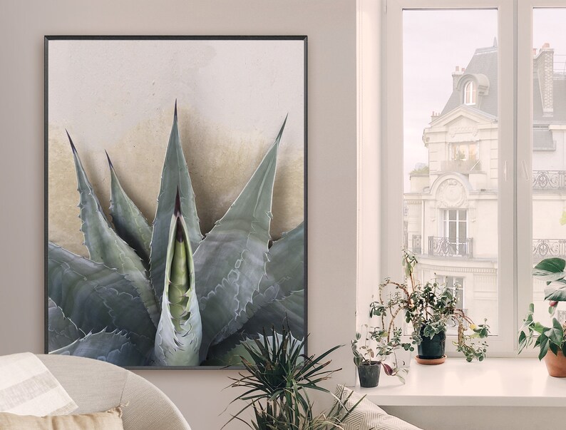 GRAPHIC AGAVE AMERICANA. A Fine Art Cactus Photograph, Sage Silver, Beige, Cactus, Modern Wall Décor, Botanical Art, Boho Décor image 2