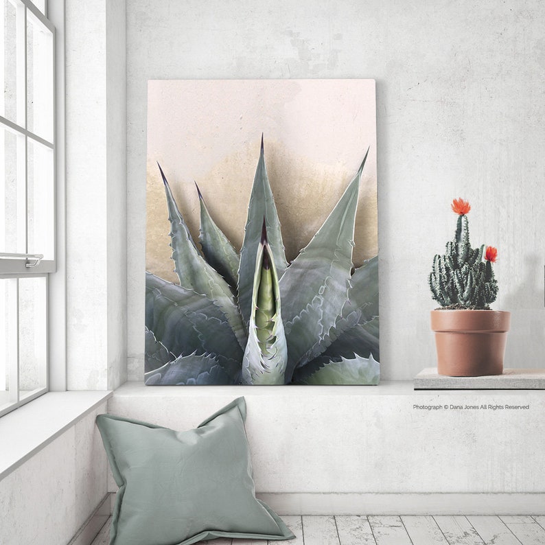 GRAPHIC AGAVE AMERICANA. A Fine Art Cactus Photograph, Sage Silver, Beige, Cactus, Modern Wall Décor, Botanical Art, Boho Décor image 3