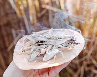 White sage in a medicine bag