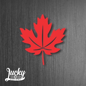 May include: A red maple leaf cutout against a dark gray woodgrain background.