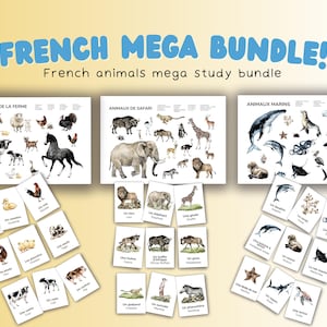 French Animal Flashcards for Kids – French Animals Study Bundle - Bilingual Educational Printable for Beginners