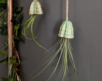 Ceramic Air Plant Holder Jellyfish Hanging Decoration Handmade Gift | Tillandsia Porte Plante Intérieur Suspendu Céramique Méduse Cadeau