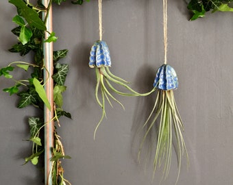 Ceramic Air Plant Holder Jellyfish Hanging Decoration Handmade Gift | Tillandsia Porte Plante Intérieur Suspendu Céramique Méduse Cadeau