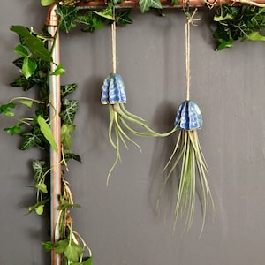 Porte-plante aérien en céramique, décoration de méduses, cadeau fait main | Tillandsia Fille de L'Air Plante Intérieur Suspendu Céramique Méduse Cadeau