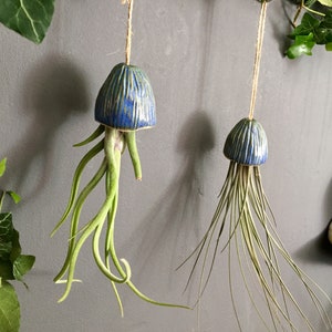 Ceramic Air Plant Holder Jellyfish Hanging Decoration Handmade Gift Tillandsia Porte Plante Intérieur Suspendu Céramique Méduse Cadeau image 1