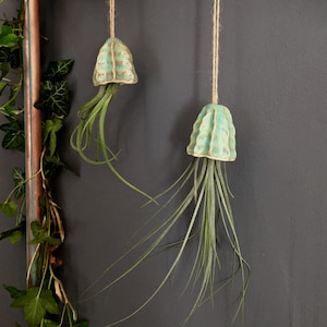 Ceramic Air Plant Holder Jellyfish Hanging Decoration Handmade Gift | Tillandsia Porte Plante Intérieur Suspendu Céramique Méduse Cadeau