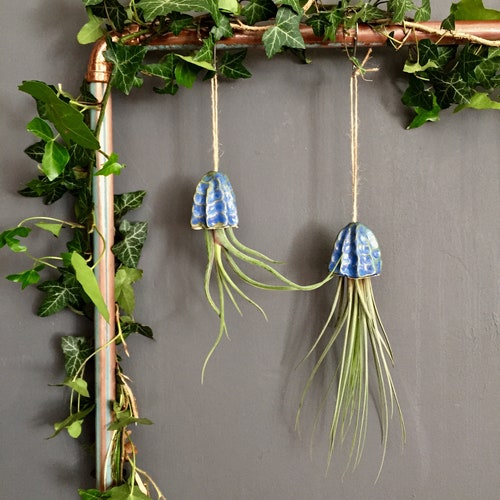 Ceramic Air Plant Holder Jellyfish Hanging Decoration Handmade Gift | Tillandsia Porte Plante Intérieur Suspendu Céramique Méduse Cadeau