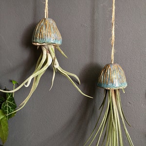 Porta piante d'aria in ceramica Medusa appesa decorazione regalo fatto a mano / Tillandsia Porte Plante Intérieur Suspendu Céramique Méduse Cadeau immagine 2