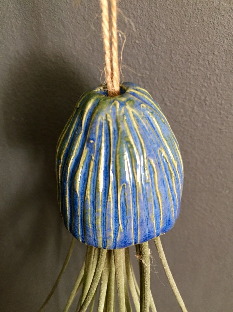 Porta piante d'aria in ceramica Medusa appesa decorazione regalo fatto a mano / Tillandsia Porte Plante Intérieur Suspendu Céramique Méduse Cadeau immagine 4