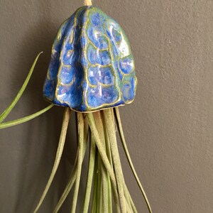 Ceramic Air Plant Holder Jellyfish Hanging Decoration Handmade Gift Tillandsia Porte Plante Intérieur Suspendu Céramique Méduse Cadeau 画像 4